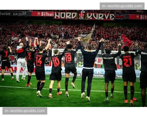 勒沃库森1-0小胜沃尔夫斯堡，福林蓬制胜球