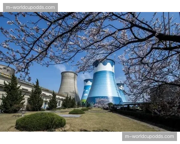 深度分析:多国联合申办大赛趋势对手球全球化推广的影响 深度分析:多国联合申办大赛趋势对手球全球化推广的影响